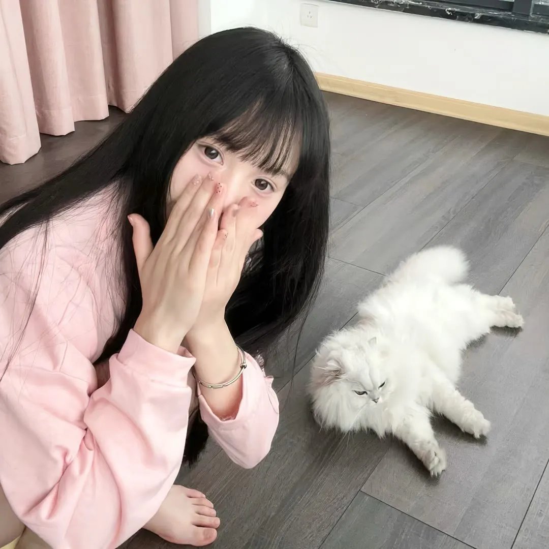 双龙会